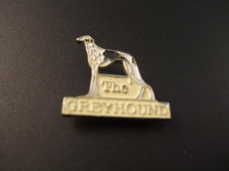 Greyhound ( windhond)